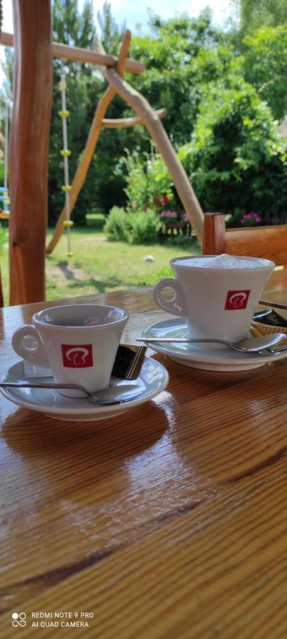 Rybarska Basta Vikletice - Nechranice Villa Chbany Bagian luar foto